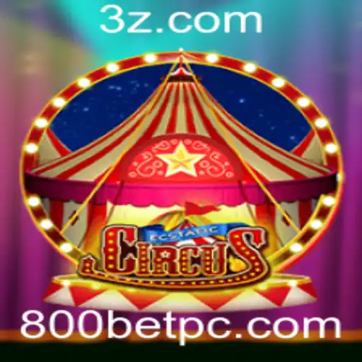 EcstaticCircus: O Fascinante Mundo do Jogo 800 Bet